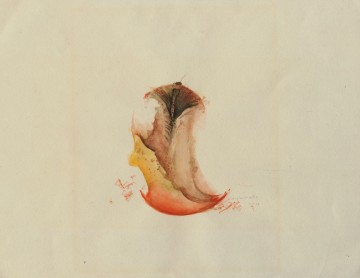 Appel geheel   caymax