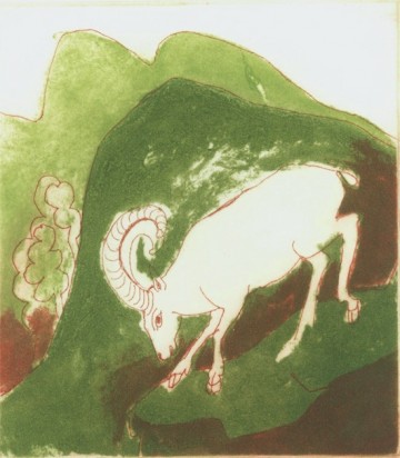 steenbok - Katrien Caymax