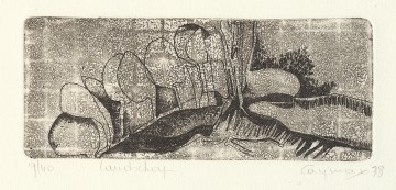 Caymaxart   landschap