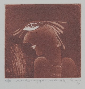 Met het oog op de waarheid   caymaxart