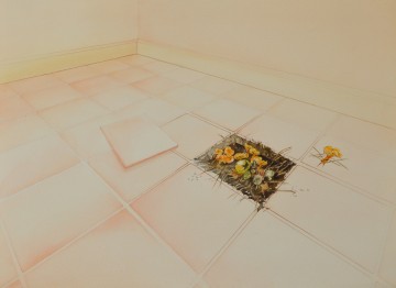 Stoeptegel caymaxart