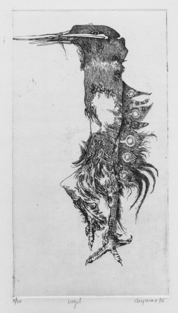 Vogel   katrien caymax 76